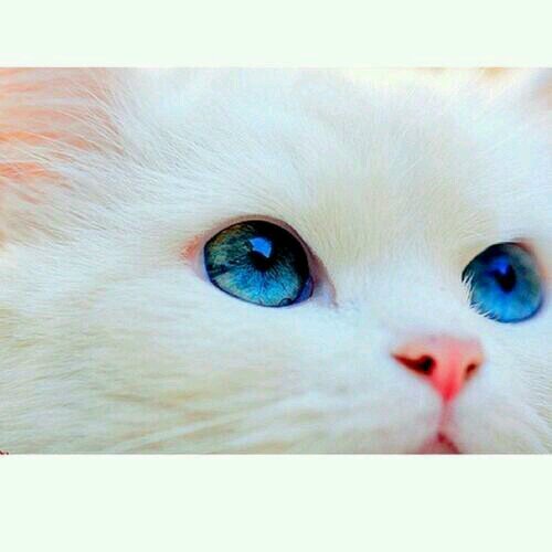 My name new. แฟนชื่อบุดดา 55