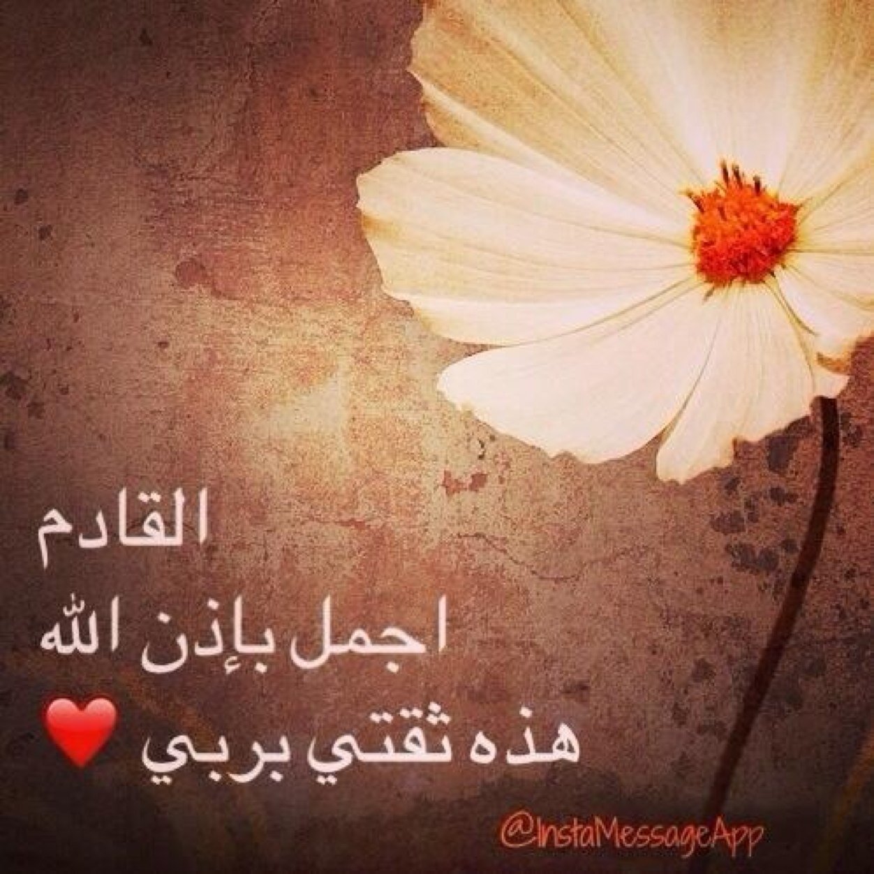 سبحان الله و الحمد لله و لا إله إلا الله والله أكبر