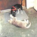 Raymond Bainbridge - @Ray6843 - Twitter