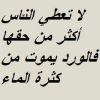 عاشق الليل (@l3nt7b) 's Twitter Profile