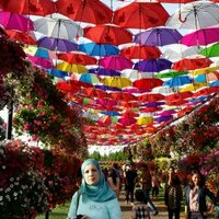 Basema Al Banna (@basema_al) 's Twitter Profile
