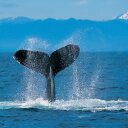 Ken Horn - @KjhKen - Twitter