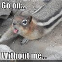 David Moloney - @IrishFifa - Twitter