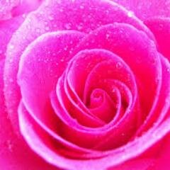 #gammamonkey100 #mzraime #followpyraimd #pink