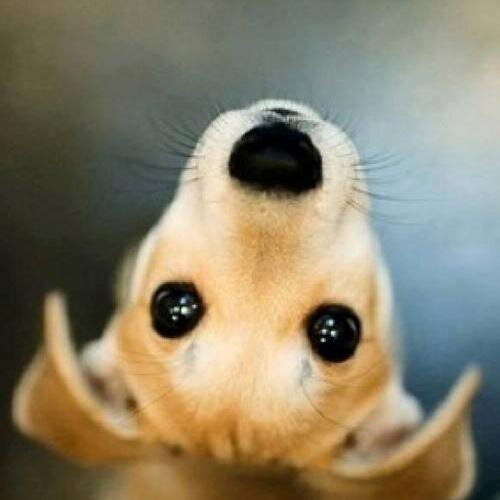 etodolak12's profile picture. 