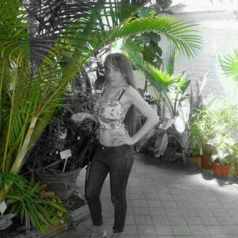 BFaetus's profile picture. 