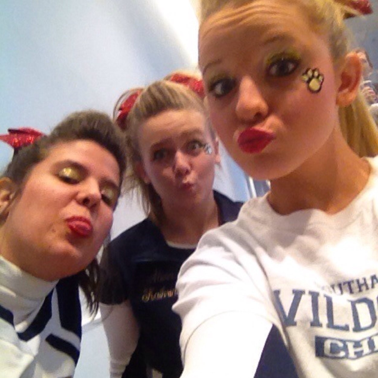 wildcats