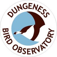 Dungeness Bird Observatory (@dungenessbo) 's Twitter Profile Photo Dungeness Bird Observatory (@dungenessbo) 's Twitter Profile Photo