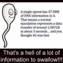 Reverend Robert Lile - @LileRobert - Twitter