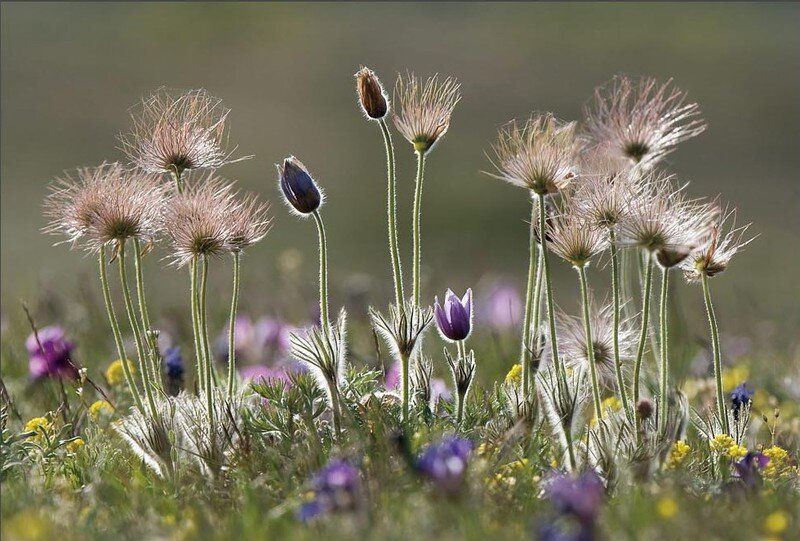 This is a place for collection of all the rare and crazy things in this world......