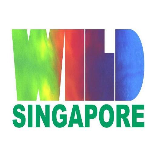 Wild about our wild shores. Yes! Singapore HAS wild places!