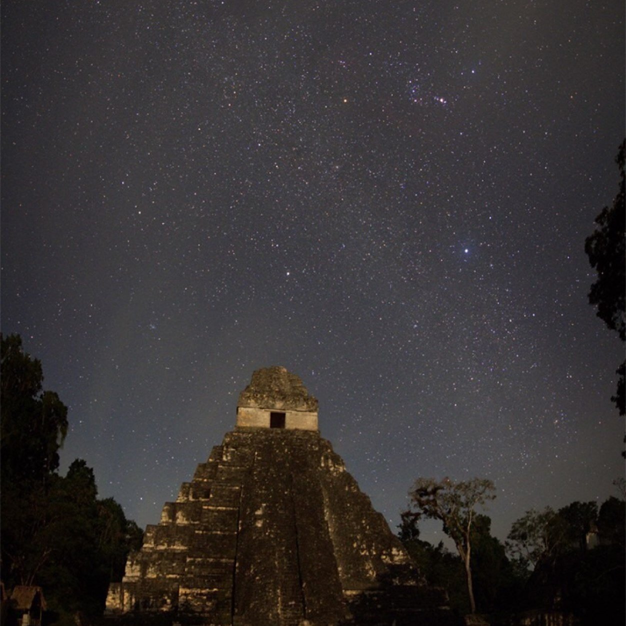 Gomez16G's profile picture. 