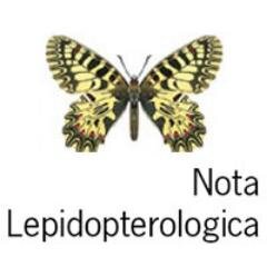 Nota Lepidopterologicaさんのプロフィール画像