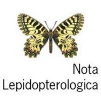 Nota Lepidopterologica(@NotaLepido) 's Twitter Profile Photo