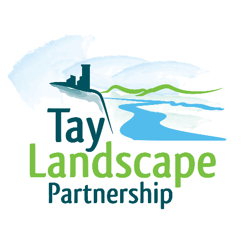 TayLandscape Profile Picture