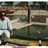 walter0309's profile image