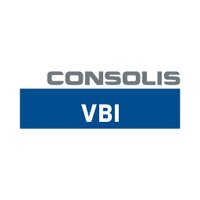 VBI (@consolisvbi) 's Twitter Profile