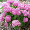 Charles Goins - @cgoinsb - Twitter