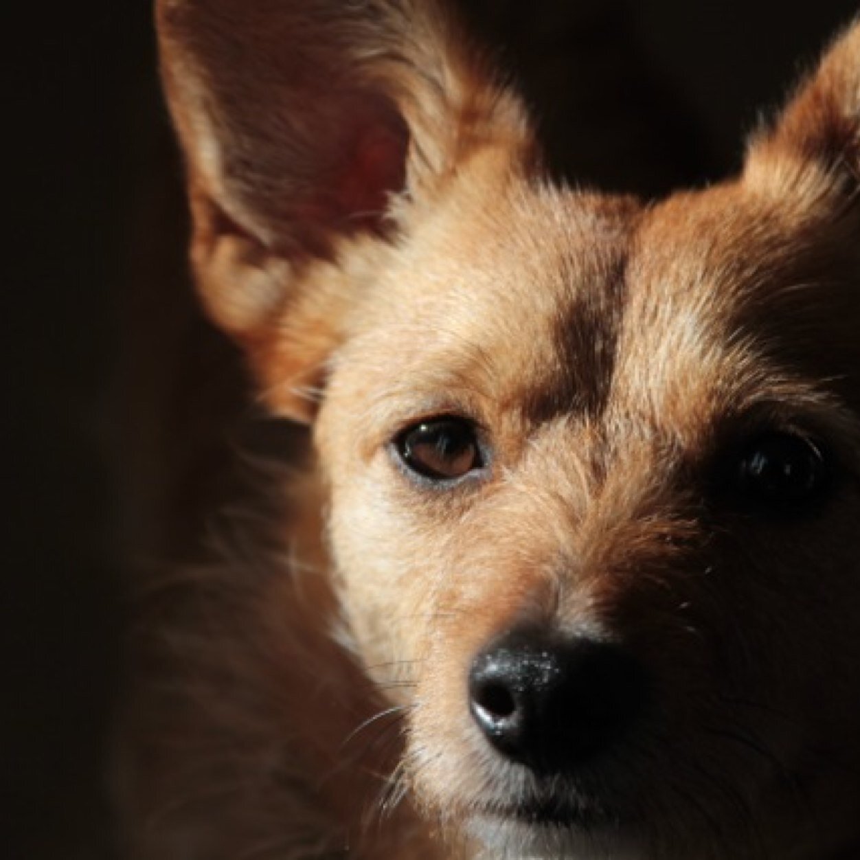 mandyjgold's profile picture. Makeup Artist with years & years of experience, teach aspiring makeup artists & work in tv/films. Love being creative