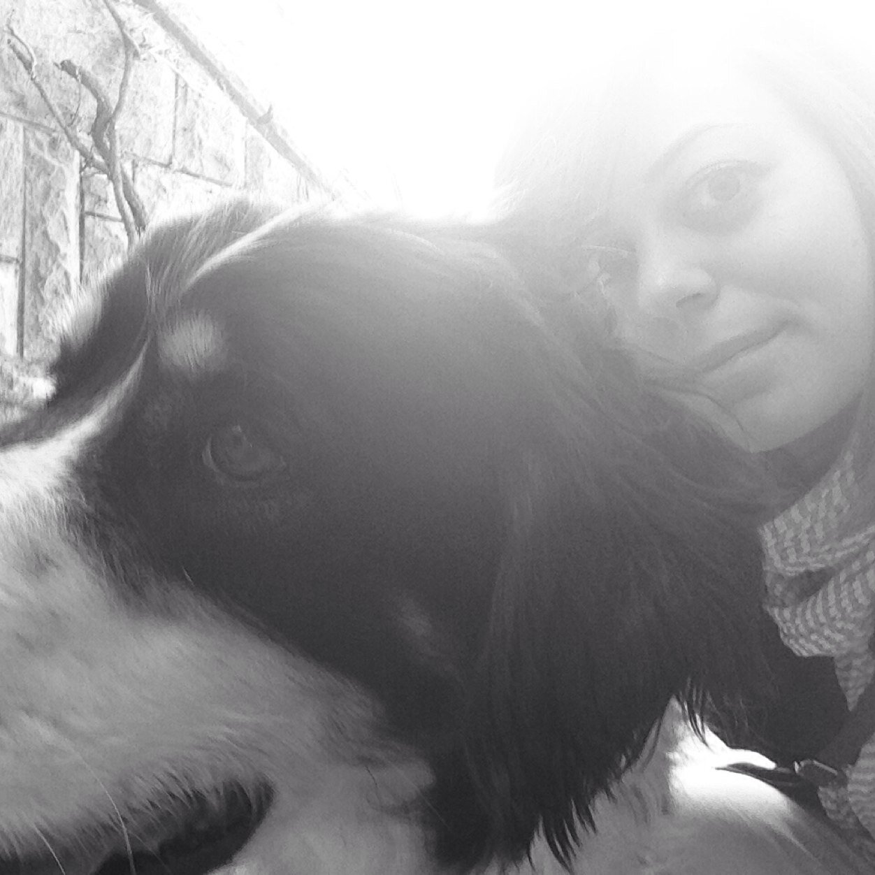 Jazznazz's profile picture. Yeni hesabim...
My new account...