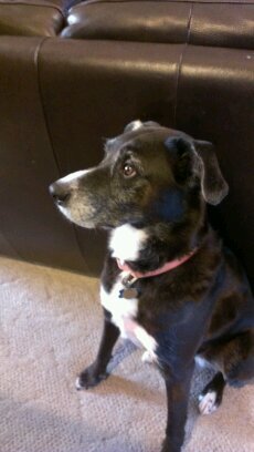 JaffrayDebbie's profile picture. 