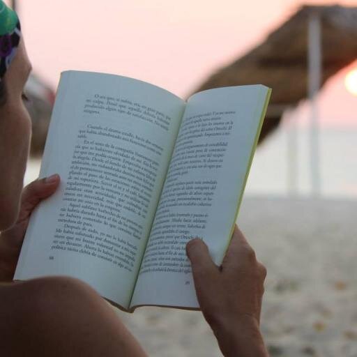 noeljolivet's profile picture. 