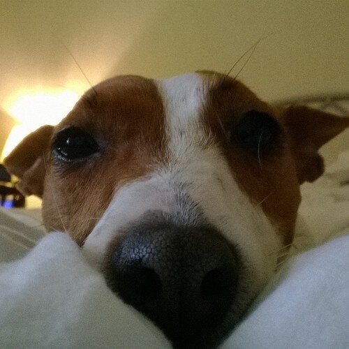 cardboardbox848's profile picture. :\