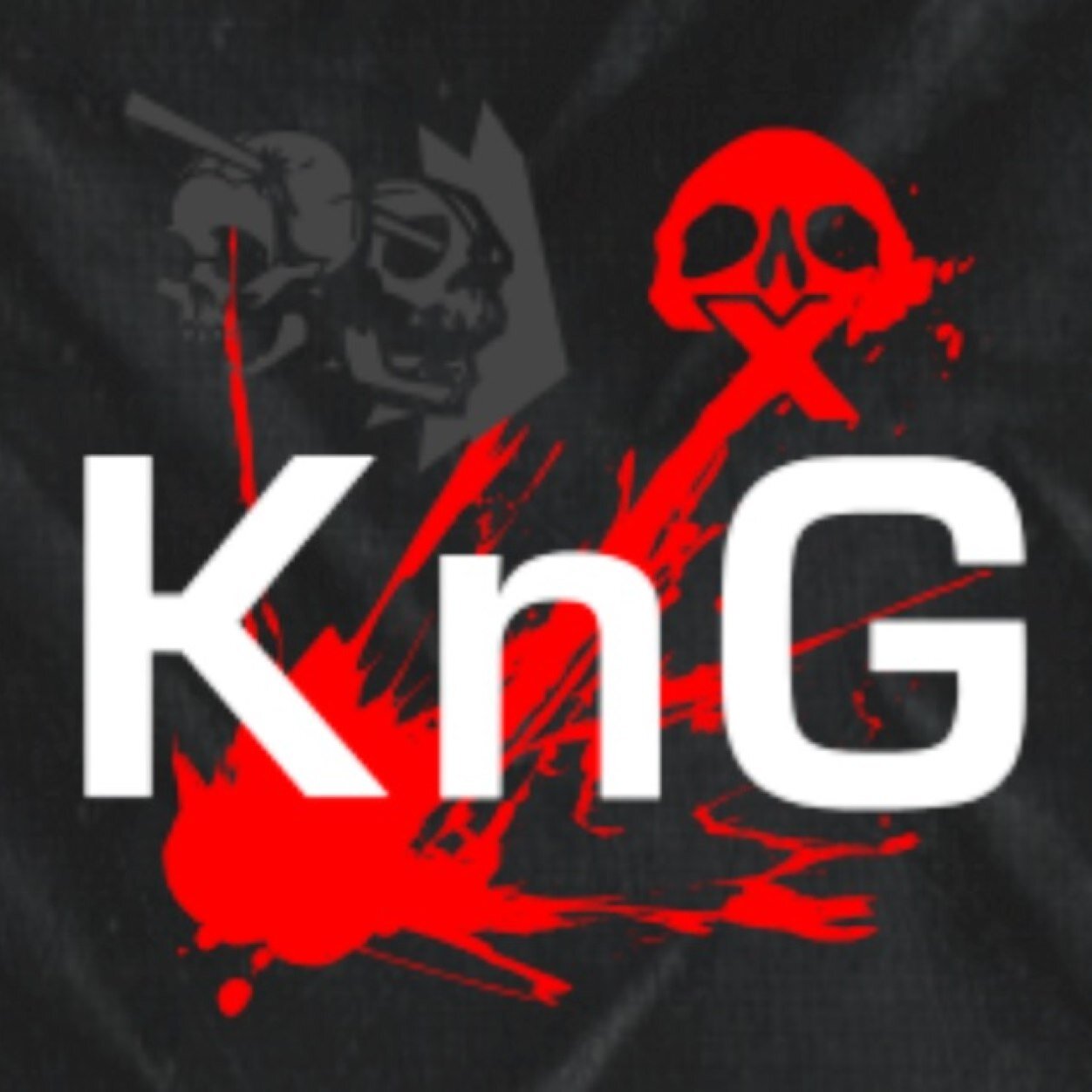 Professional Call of Duty team.