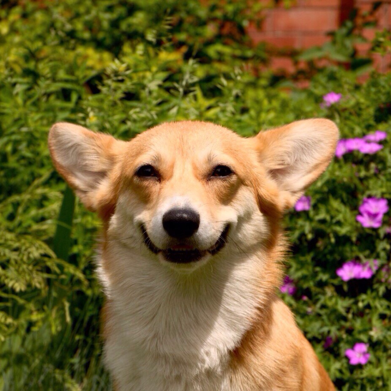 kvak46's profile picture. 