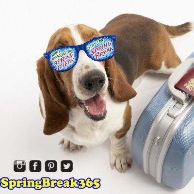 SpringBreakKids's profile picture. 