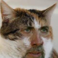 For thy silliness, and cheap lulz, and otaku, comic, comedians, acting, arts, and cats.