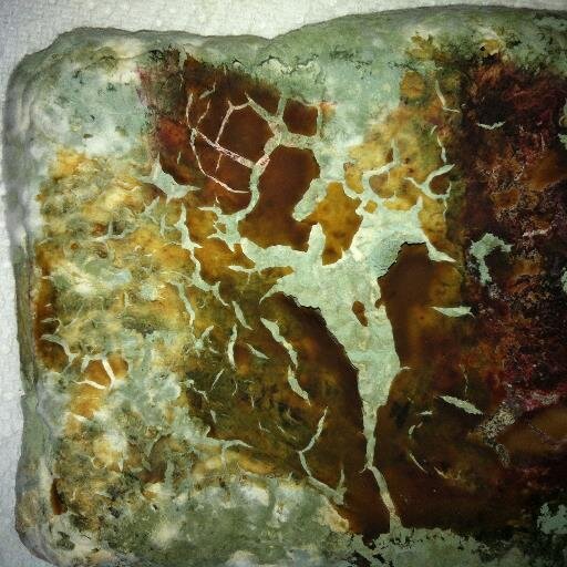 RosemarySmith06's profile picture. 