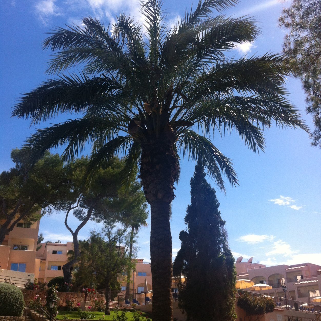 HPMvDoor's profile picture. 