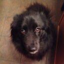 Max Burch - @MaxBurch__ - Twitter