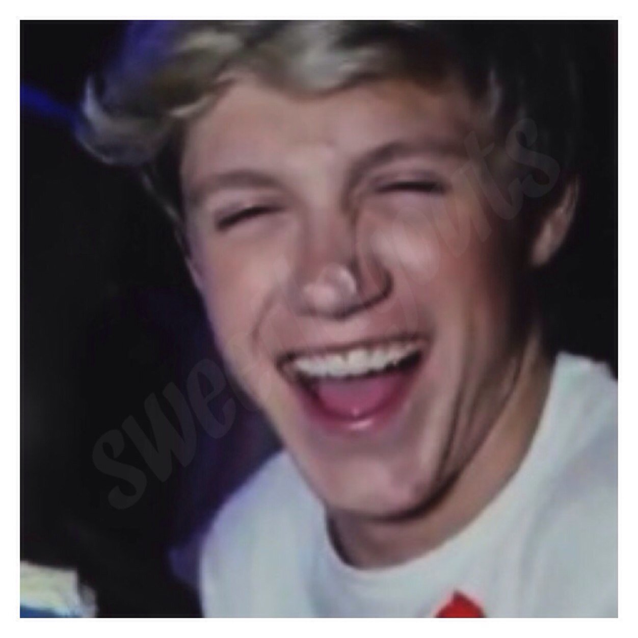 sweetlayouts's profile picture. @partiedniall and @musicstoreharry here to make your account look lovely :D