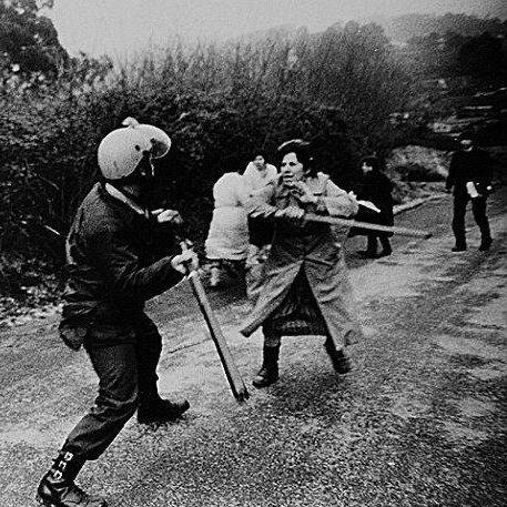 Hermenegil_dog's profile picture. Eu son Balbino, un rapaz da aldea. Coma quen di, un ninguén. E ademais, pobre.