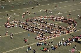 Hey iedereen, wij zijn 2 meiden, 14&15 jaar oud & vinden de liedjes van One Direction erg leuk! Wij willen samen een flashmob maken, maar zoeken nog mensen.
