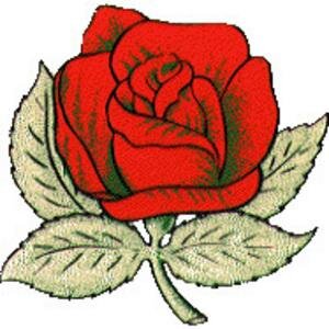 AOPositive's profile picture. 