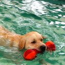 Terry Parkin - @terry_parkin101 - Twitter