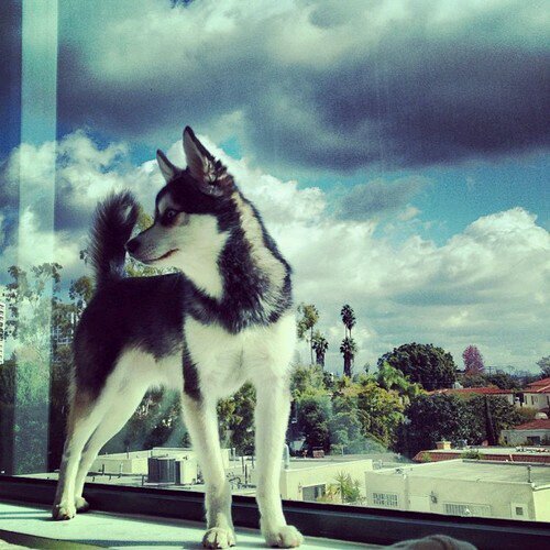 euliimar_sykes's profile picture. 12 Years Old□□□JB, BTR□□□□ Swaggie