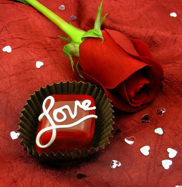 gabyjcasas's profile picture. 