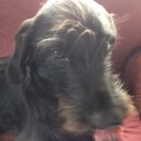 michael mckee - @co303mike - Twitter