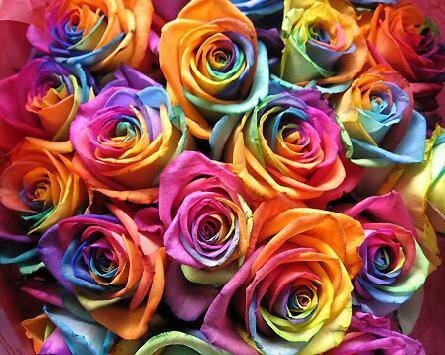 * Blog Amigas Trio...

Três meninas, mulheres trabalhando para dar opiniões de de modas e várias outras coisas. 

Beijinhos ♥