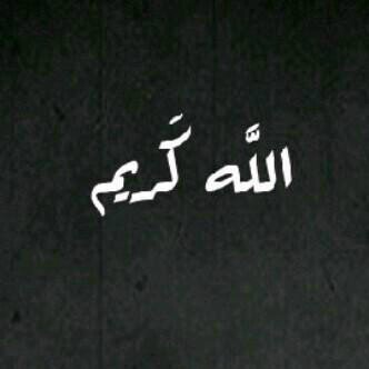 pin:2A7A3229