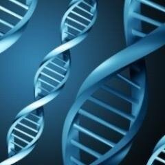 loregigliotto's profile picture. #attualità, #ricerca, #ambiente, #energia, #tecnologia