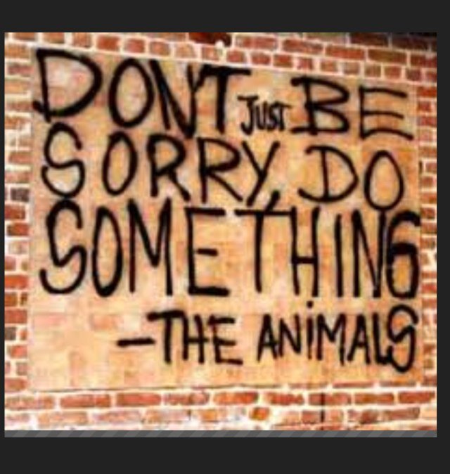 Be inspired. Stop the abuse. It needs to go! We are here to help stop animal abuse and neglect it is a world wide problem!