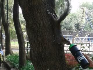 herbalifemxdf's profile picture. Distribuidor Independiente Herbalife Producto ó negocio México DF