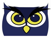 Grooveowl1's profile picture. We are here to help you figure out what to do for the night in the New York area!