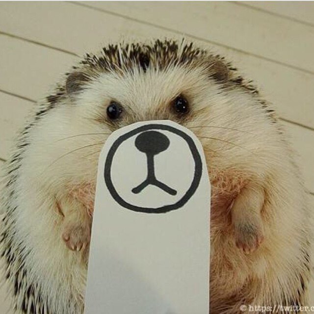 lanm312's profile picture. 