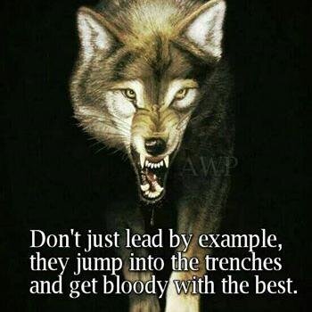 Survivalist & Outdoorsman. US Navy Vet. Dog lover. Not Politically Correct. Resistor. Constitutionalist.